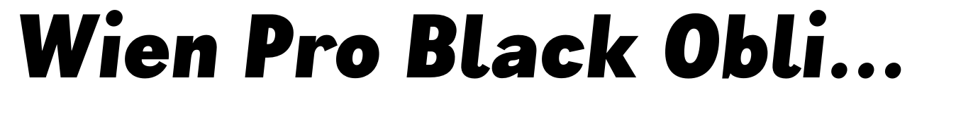 Wien Pro Black Oblique